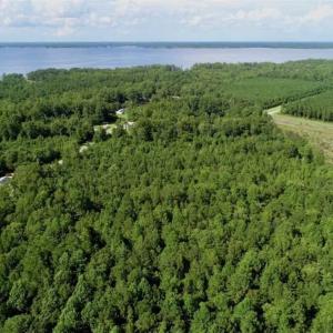 Photo of SOLD!!  33.41 Acres of Hunting and Timber Land For Sale in Beaufort County NC!