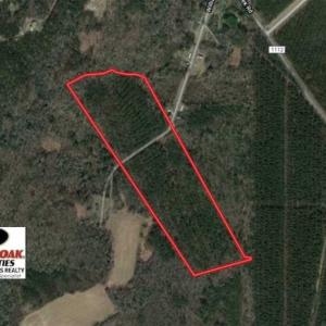 Photo of SOLD!!  33.41 Acres of Hunting and Timber Land For Sale in Beaufort County NC!