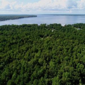 Photo of SOLD!!  33.41 Acres of Hunting and Timber Land For Sale in Beaufort County NC!