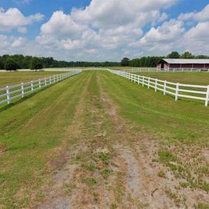 Photo of 55 Acre Horse Farm with House For Sale in Pitt County NC!
