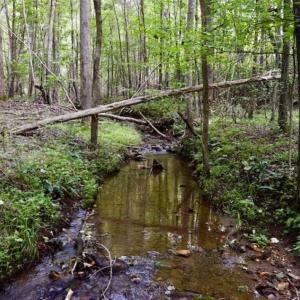 Photo of SOLD!!  52.96 Acres of Hunting Land For Sale in Franklin County VA!