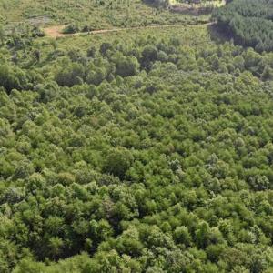Photo of SOLD!!  52.96 Acres of Hunting Land For Sale in Franklin County VA!