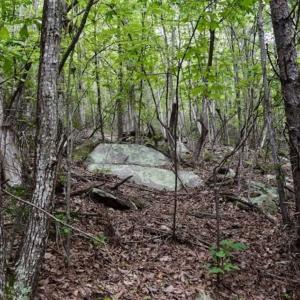 Photo of SOLD!!  52.96 Acres of Hunting Land For Sale in Franklin County VA!