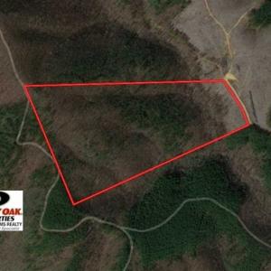Photo of SOLD!!  52.96 Acres of Hunting Land For Sale in Franklin County VA!