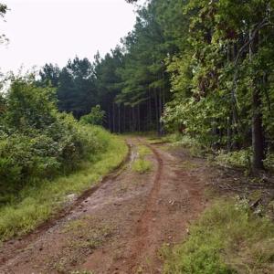 Photo of SOLD!!  52.96 Acres of Hunting Land For Sale in Franklin County VA!