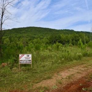 Photo of SOLD!!  52.96 Acres of Hunting Land For Sale in Franklin County VA!