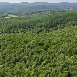Photo of SOLD!!  52.96 Acres of Hunting Land For Sale in Franklin County VA!