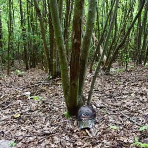 Photo of SOLD!!  52.96 Acres of Hunting Land For Sale in Franklin County VA!