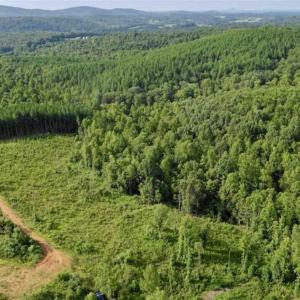 Photo of SOLD!!  52.96 Acres of Hunting Land For Sale in Franklin County VA!