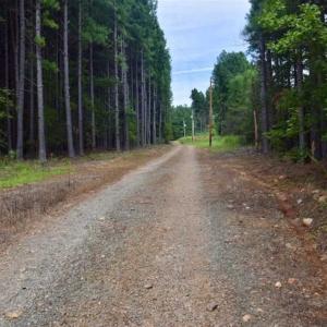 Photo of SOLD!!  52.96 Acres of Hunting Land For Sale in Franklin County VA!