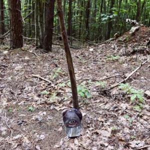 Photo of SOLD!!  52.96 Acres of Hunting Land For Sale in Franklin County VA!