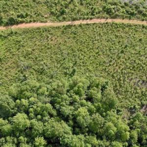 Photo of SOLD!!  52.96 Acres of Hunting Land For Sale in Franklin County VA!