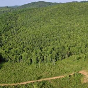 Photo of SOLD!!  52.96 Acres of Hunting Land For Sale in Franklin County VA!