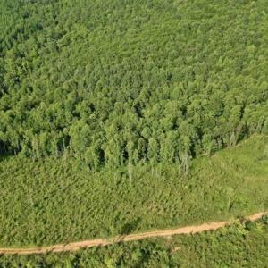 Photo of SOLD!!  52.96 Acres of Hunting Land For Sale in Franklin County VA!