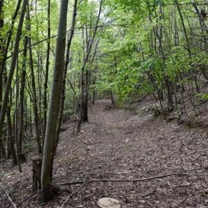 Photo of SOLD!!  52.96 Acres of Hunting Land For Sale in Franklin County VA!