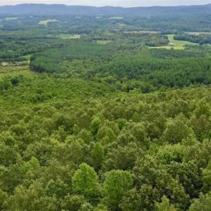 Photo of SOLD!!  52.96 Acres of Hunting Land For Sale in Franklin County VA!
