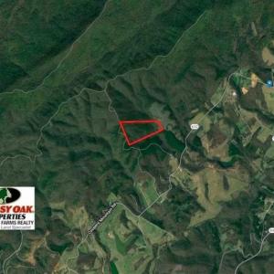 Photo of SOLD!!  52.96 Acres of Hunting Land For Sale in Franklin County VA!