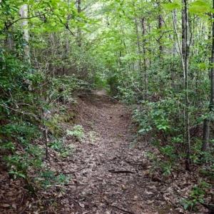 Photo of SOLD!!  52.96 Acres of Hunting Land For Sale in Franklin County VA!