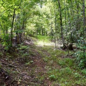 Photo of SOLD!!  52.96 Acres of Hunting Land For Sale in Franklin County VA!