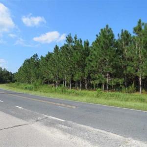 Photo of SOLD!!  26 Acres of Timber Land For Sale in Robeson County NC!