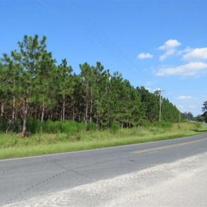 Photo of SOLD!!  26 Acres of Timber Land For Sale in Robeson County NC!