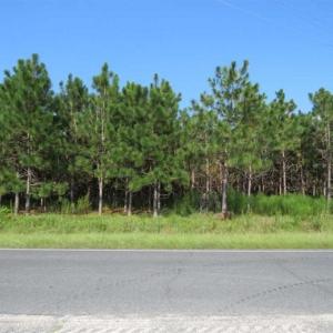 Photo of SOLD!!  26 Acres of Timber Land For Sale in Robeson County NC!