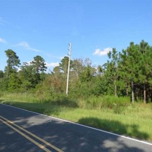 Photo of SOLD!!  26 Acres of Timber Land For Sale in Robeson County NC!