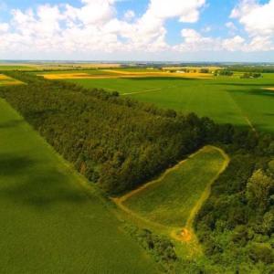 Photo of SOLD!!  44.11 Acres of Hunting Recreational and Timber Land in Beaufort County NC!