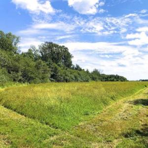 Photo of SOLD!!  44.11 Acres of Hunting Recreational and Timber Land in Beaufort County NC!