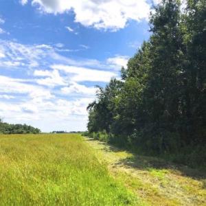 Photo of SOLD!!  44.11 Acres of Hunting Recreational and Timber Land in Beaufort County NC!
