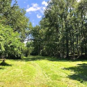Photo of SOLD!!  44.11 Acres of Hunting Recreational and Timber Land in Beaufort County NC!