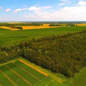 Photo of SOLD!!  44.11 Acres of Hunting Recreational and Timber Land in Beaufort County NC!