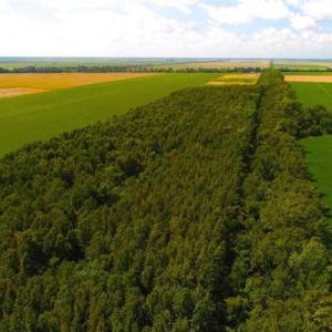 Photo of SOLD!!  44.11 Acres of Hunting Recreational and Timber Land in Beaufort County NC!