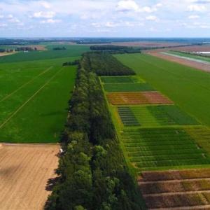 Photo of SOLD!!  44.11 Acres of Hunting Recreational and Timber Land in Beaufort County NC!