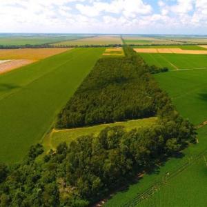 Photo of SOLD!!  44.11 Acres of Hunting Recreational and Timber Land in Beaufort County NC!