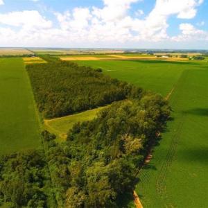 Photo of SOLD!!  44.11 Acres of Hunting Recreational and Timber Land in Beaufort County NC!