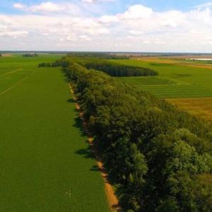 Photo of SOLD!!  44.11 Acres of Hunting Recreational and Timber Land in Beaufort County NC!