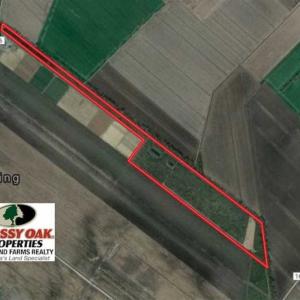 Photo of SOLD!!  44.11 Acres of Hunting Recreational and Timber Land in Beaufort County NC!