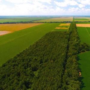 Photo of SOLD!!  44.11 Acres of Hunting Recreational and Timber Land in Beaufort County NC!