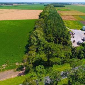 Photo of SOLD!!  44.11 Acres of Hunting Recreational and Timber Land in Beaufort County NC!