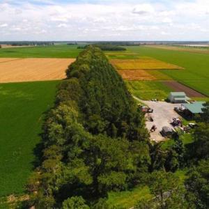 Photo of SOLD!!  44.11 Acres of Hunting Recreational and Timber Land in Beaufort County NC!