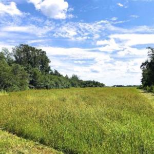 Photo of SOLD!!  44.11 Acres of Hunting Recreational and Timber Land in Beaufort County NC!