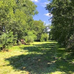 Photo of SOLD!!  44.11 Acres of Hunting Recreational and Timber Land in Beaufort County NC!