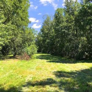 Photo of SOLD!!  44.11 Acres of Hunting Recreational and Timber Land in Beaufort County NC!