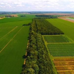 Photo of SOLD!!  44.11 Acres of Hunting Recreational and Timber Land in Beaufort County NC!