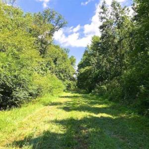 Photo of SOLD!!  44.11 Acres of Hunting Recreational and Timber Land in Beaufort County NC!