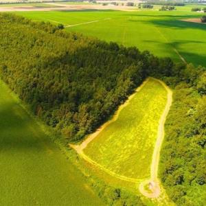 Photo of SOLD!!  44.11 Acres of Hunting Recreational and Timber Land in Beaufort County NC!