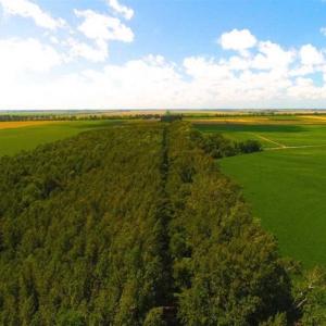 Photo of SOLD!!  44.11 Acres of Hunting Recreational and Timber Land in Beaufort County NC!