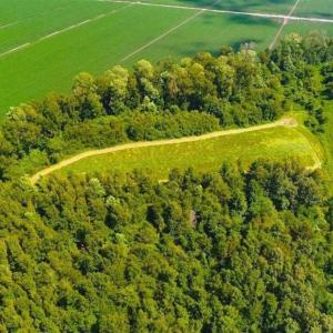 Photo of SOLD!!  44.11 Acres of Hunting Recreational and Timber Land in Beaufort County NC!