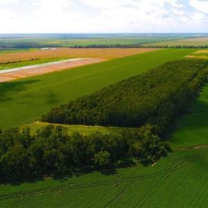 Photo of SOLD!!  44.11 Acres of Hunting Recreational and Timber Land in Beaufort County NC!